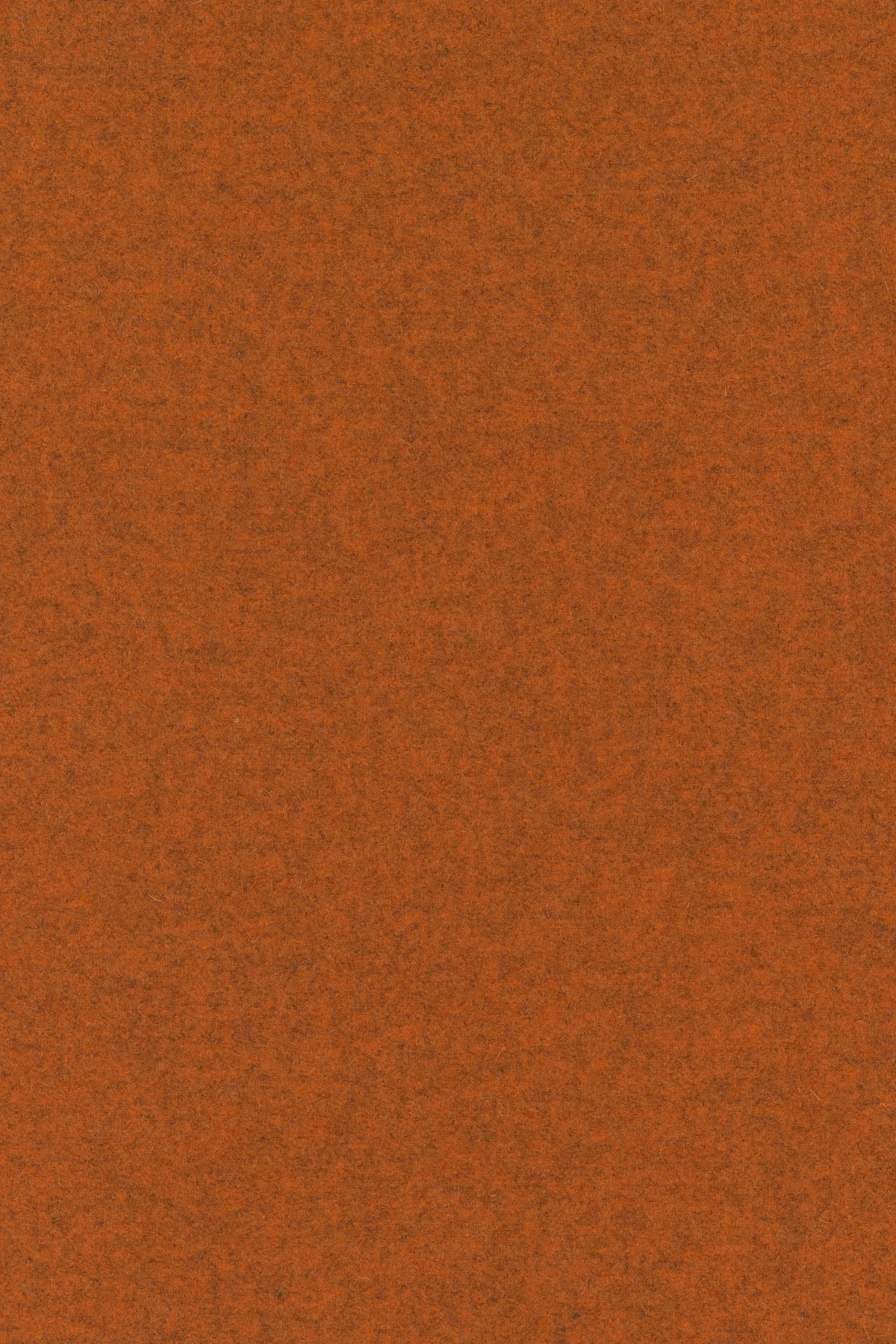 Divina melange 3, 547